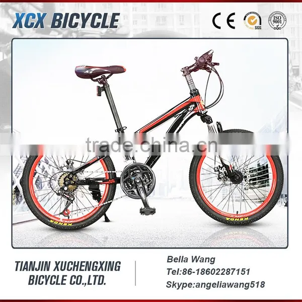 Chinese Dual Disc Brake Mountain Bike