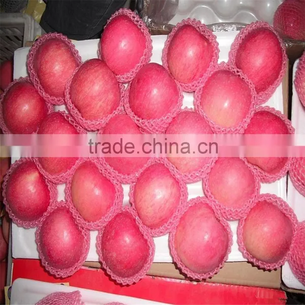 2015 New Crop Fresh Red Star Apples Fruit photo-3