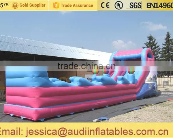 Inflatable Dolphin Slide Small for Sale photo-4