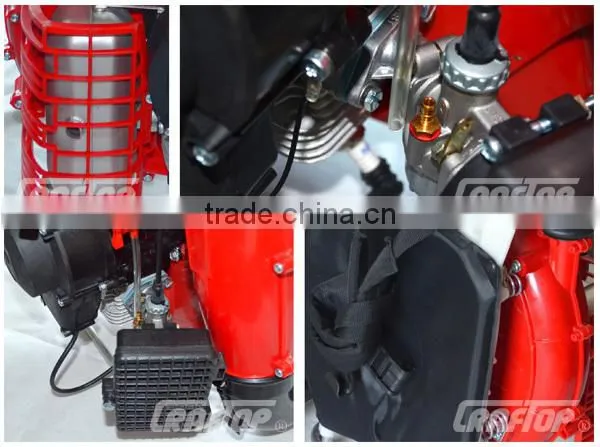 73cc 2-stroke Engine Power Sprayer With CE Certificate photo-3