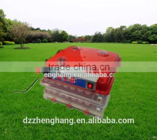 solar power egg incubator/hatcher cheap poultry egg incubators prices