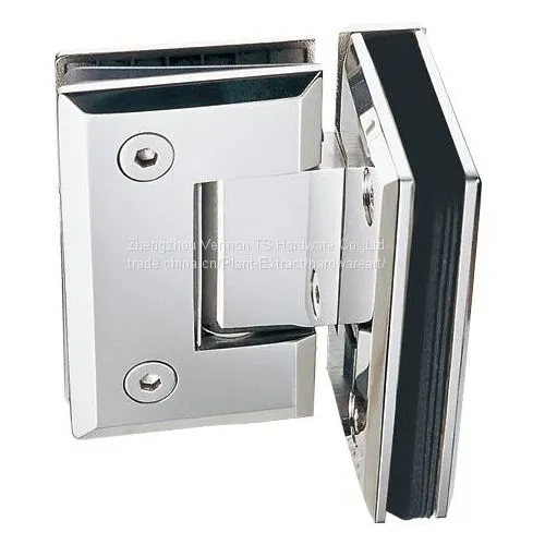 OEM Stainless Steel Glass Door Hinge Made in China photo-5