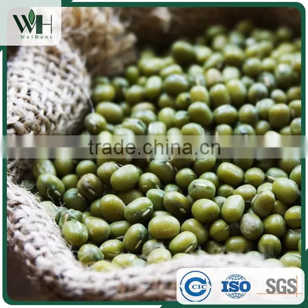 AMA Certified Green Mung Bean photo-5