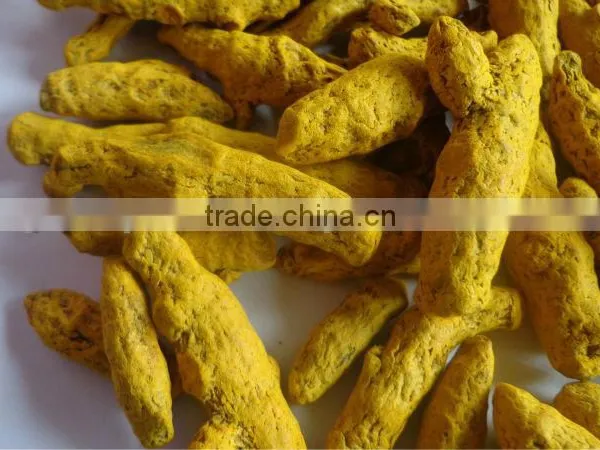 Nizamabad Turmeric
