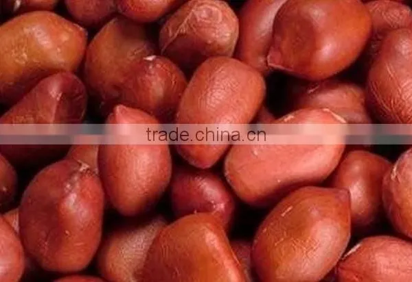 BOLD PEANUTS KERNELS CROP 2012