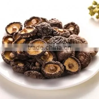 Green Healthy Dried Smooth Mushroom for Sale photo-5