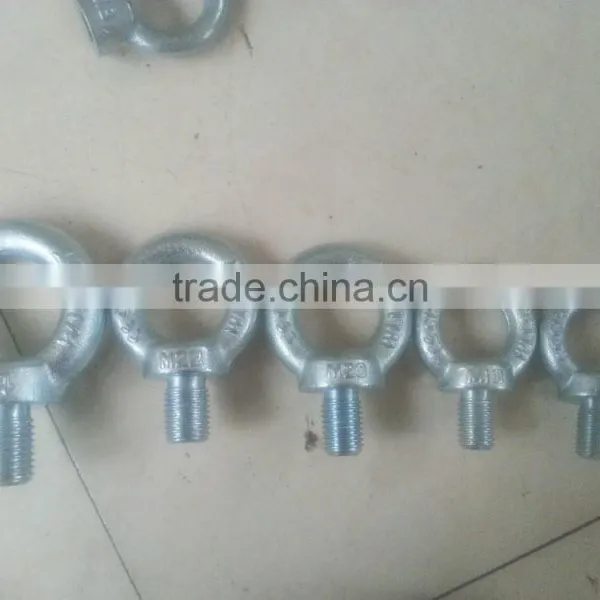 Eye Bolt and Nut Din580 Din582 photo-5
