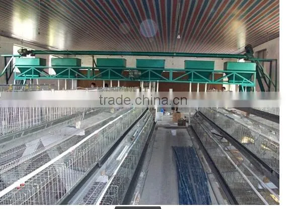 Battery Chicken Cage/layer Chicken Battery Cage/chicken Layer Cage for Sale
