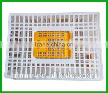 HB High Quality Customized Chicken Transport Cage,wholesale Plastic Transport Cage photo-3