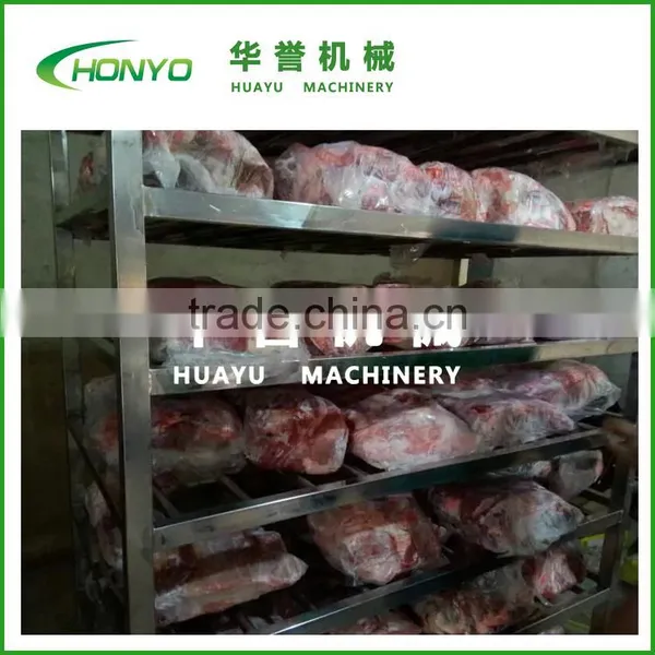 Frozen Meat Thawing Machine for Beef photo-4