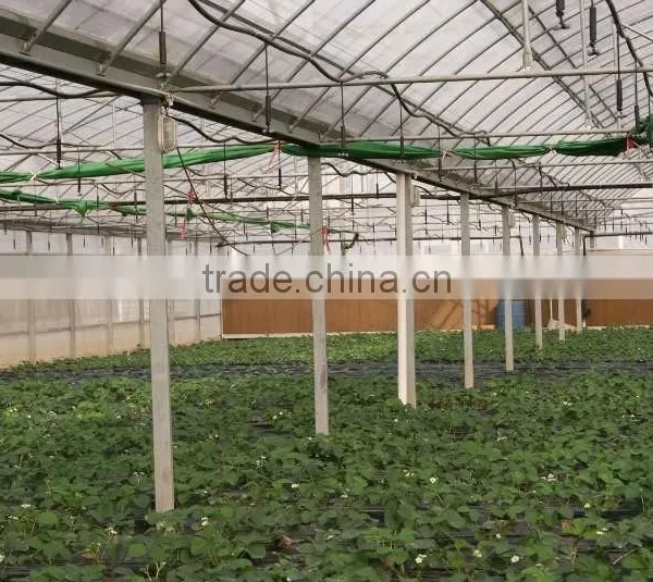 China Greenhouse Cooling Pad Manufacturer photo-6