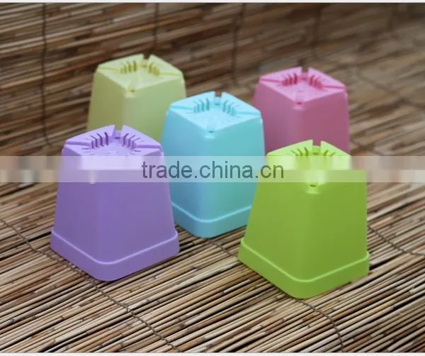 70mm Plastic Square Pot for Succulent Plants photo-3