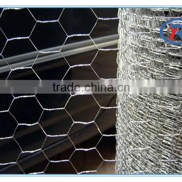 Lowest Price Chicken Wire Mesh Hot Dipped Galvanized Hexagonal Wire Mesh Made in China photo-6