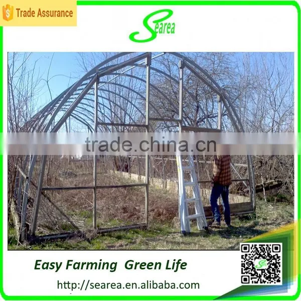 Plastic Covered Tunnels Greenhouses photo-2