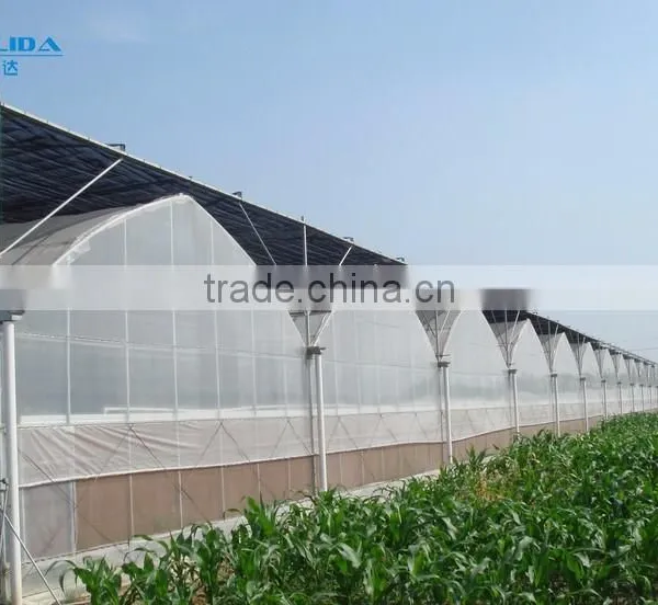 Galvanized Tube Structure Multi-Span Greenhouse Used for Growing Plantings photo-2