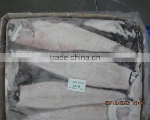Squid Whole photo-2
