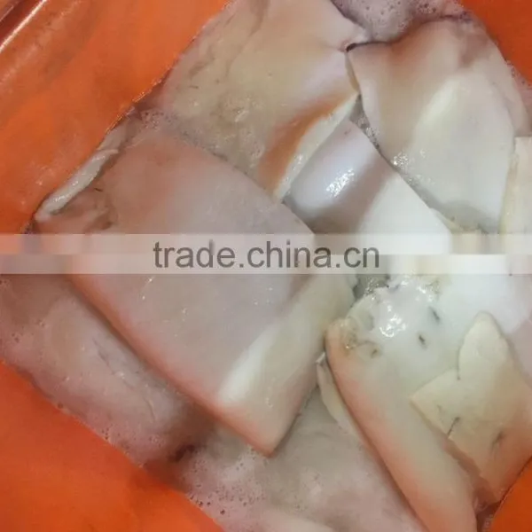 Frozen Peru Dosidicus Gigas Giant Squid Fillet photo-5