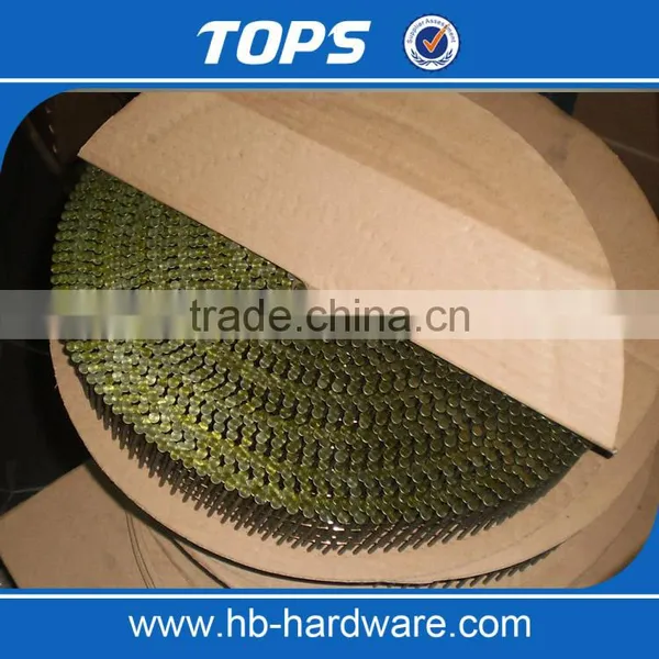 Stainless Steel Screw Wire Coil Nail photo-2