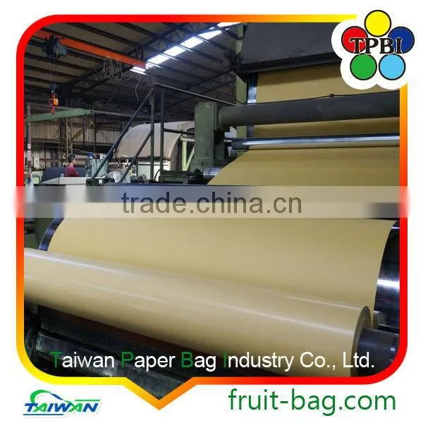 TPBI Cultivator Grow Protective Paper Bag Banana Growing Paper Bag photo-2