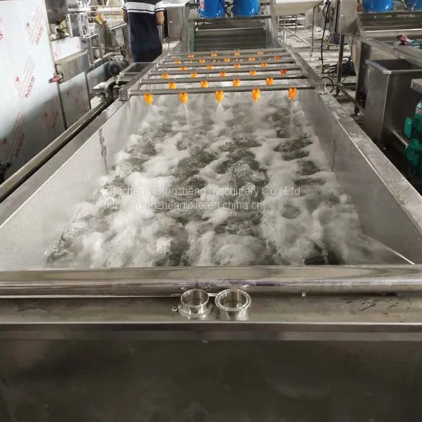 Stainless Steel Mesh Belt Fruit And Vegetable Cleaner Machine Ozone Vegetable Washing Machine photo-2