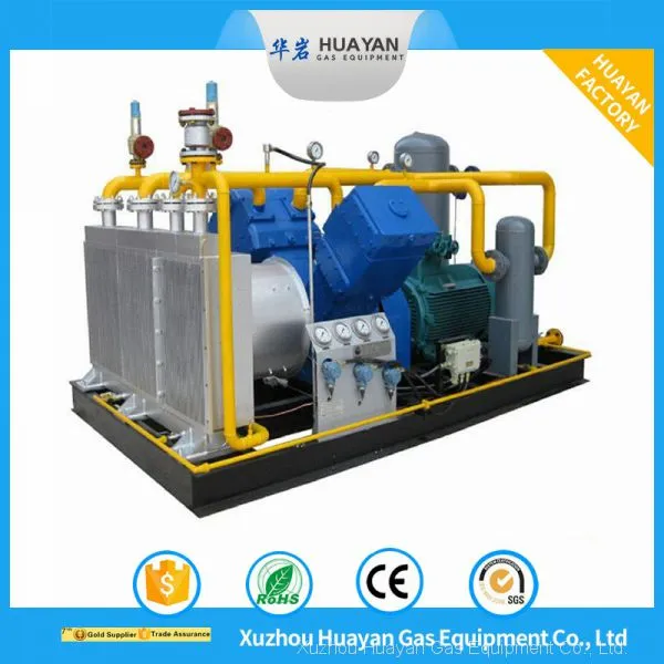 Zw-0.6/2-25 Industrial Methane Natural Gas Booster Piston Compressor photo-2