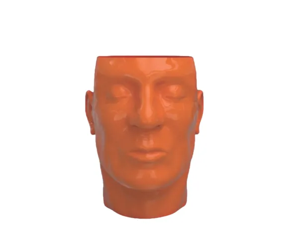 Rotomolded PVC Portrait Model and Mannequin