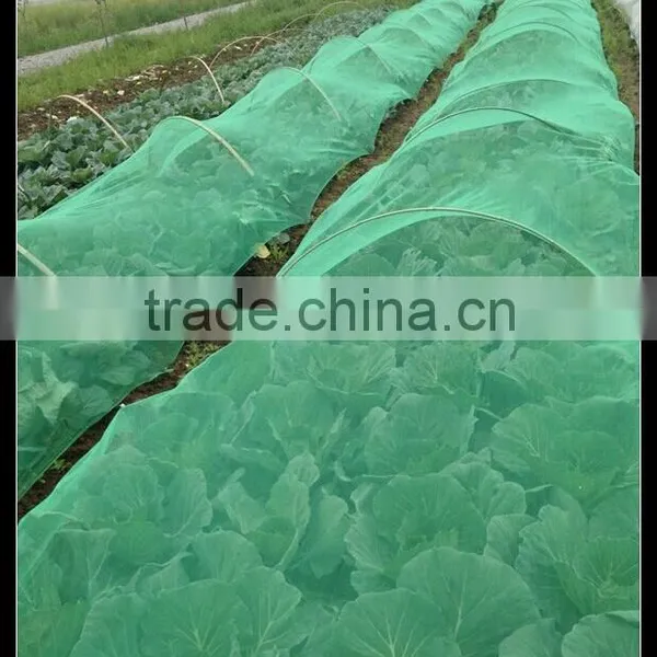 China Factory Wholesale Plastic Anti Hail and Insect Net Mesh Plant Covers photo-2