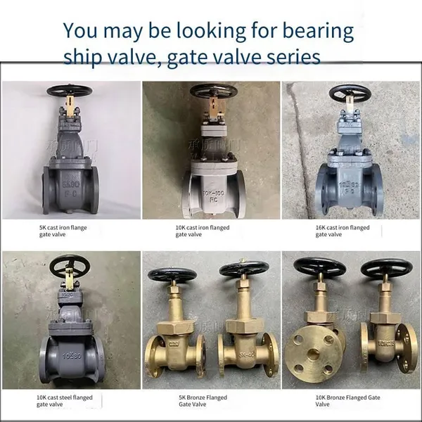 Chengzhi Jis F7366 Marine Japanese Standard Cast Steel 10k Gate Valve, Available With lr Classification Society Certificate photo-5