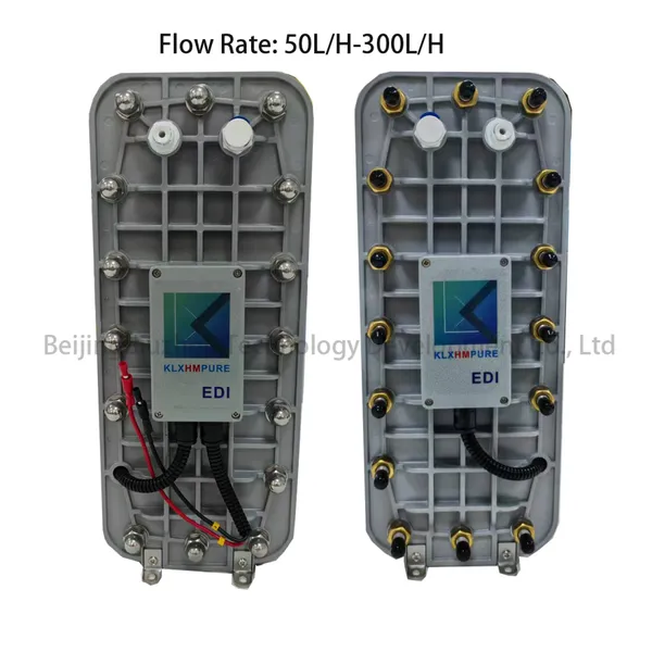 Small Flow Rate KLX Ultrapure Water Treatment EDI Module