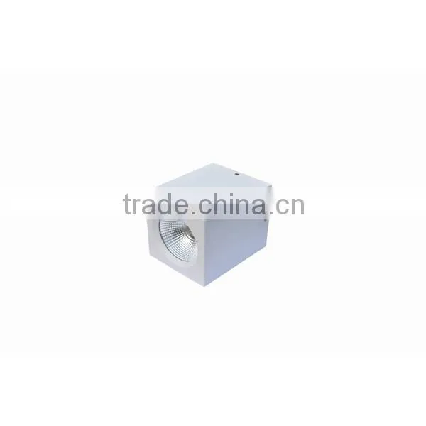 LED Downlight Surface Mounted High Efficiency Series NP2002