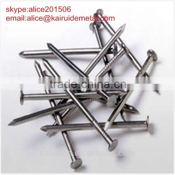 Common Wire Nail/common Iron Nail Factory photo-1