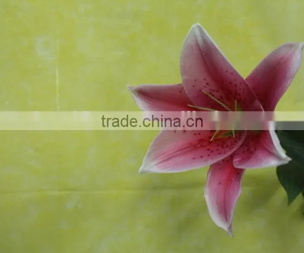 Most Popular Best Selling Lilies Real Touch photo-6