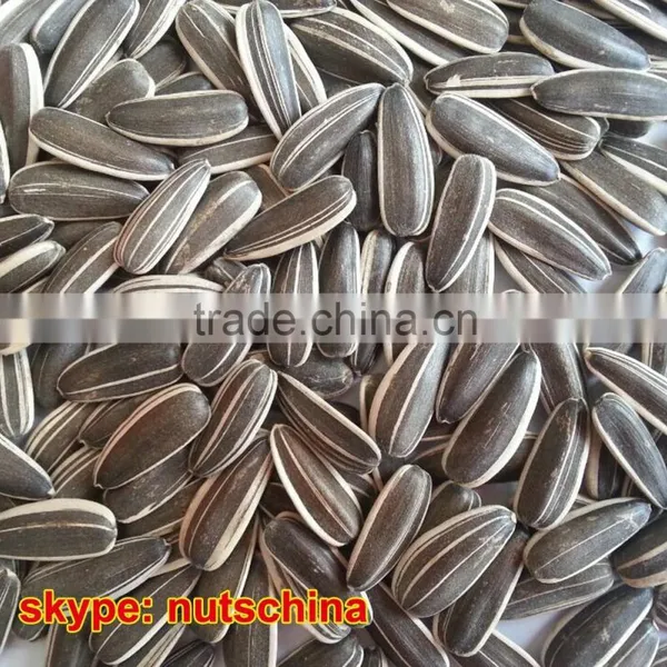 Sunflower Seeds 260 PCS 270 PCS 280 PCS 290 PCS 300 PCS 310PCS photo-5