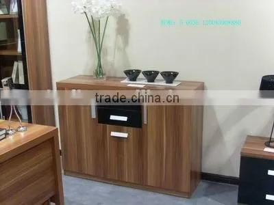 Modern Functional Shoe Cabinet
