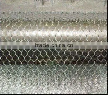 China Anping FAITHFUL Lowest Price Chicken Wire Mesh/chicken Wire Netting/hexagonal Wire Mesh photo-2