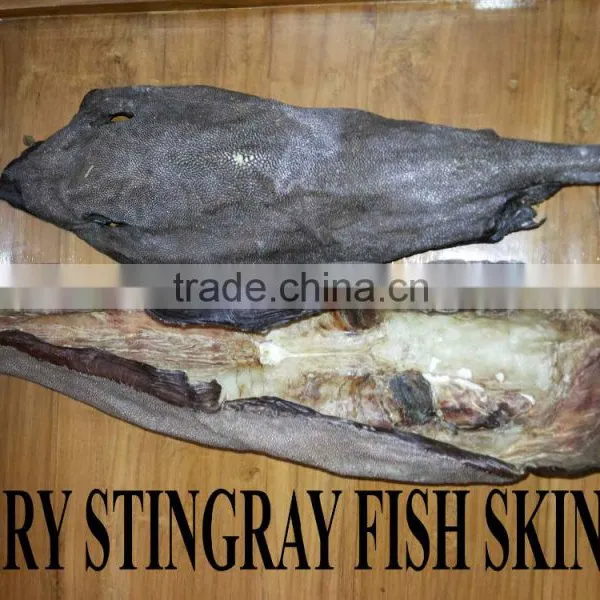 Dry STINGRAY FISH SKIN