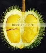 BEST PRICE VIETNAM FROZEN DURIAN photo-4