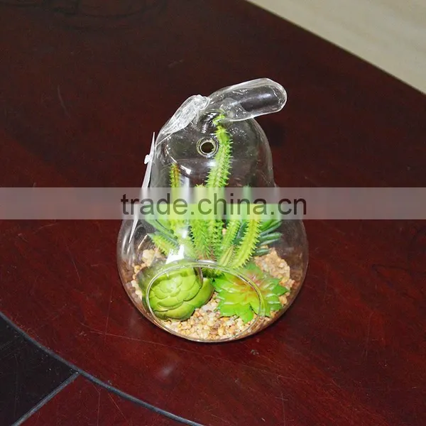 Indoor Flowering Cactus Succulent Glass Terrarium Vase Bonsai for Sale photo-2