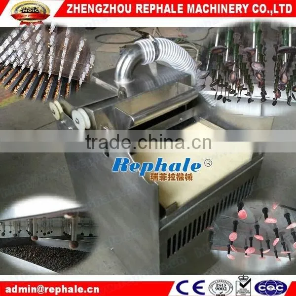 Vegetable Grow Seedling Machine
