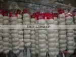 Chinese New White Garlic photo-6