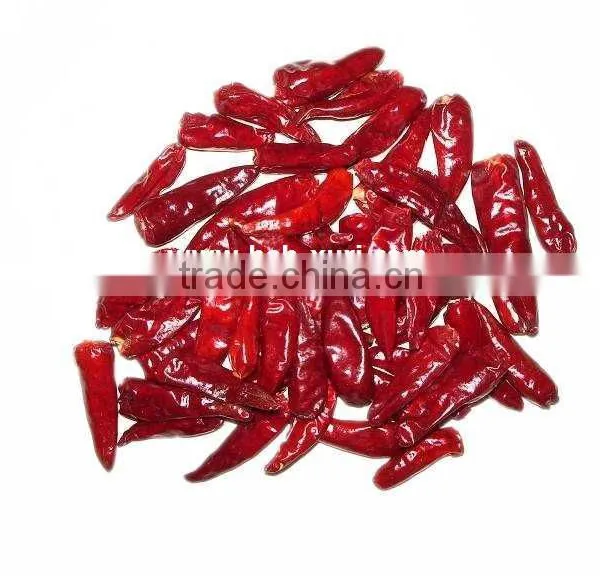 Dry Red Chaotian Chili photo-3