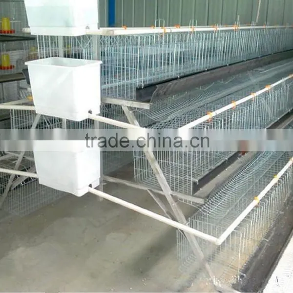 Poultry Farming H Type Chicken Layer Cage photo-3