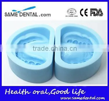 Plaster Model Mold Dental Eduction Assistant No. DEA-11 photo-2