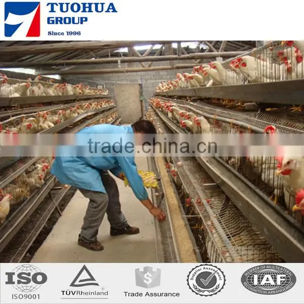Chicken Poultry Layer Cage for Sale,layer Poultry Cages photo-3