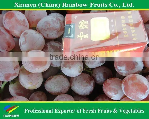 Grapes From China With Sweet Taste photo-4