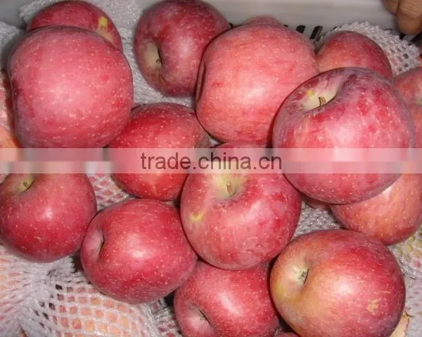Fresh Qinguan Apple photo-2