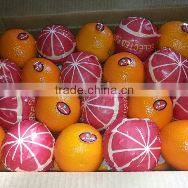 ISO 9001:2008 for Forwell Oranges and Lemons photo-6