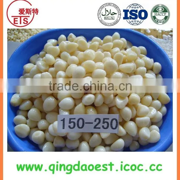 350-450 Garlic in Brine, Chinese Factory Supplier