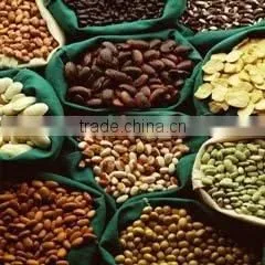 Tutti-frutti flavor for animal feed