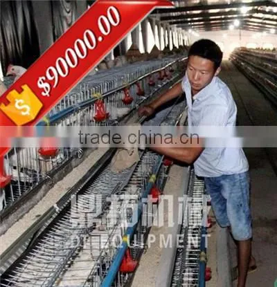 Trade Assurance A Type 128 Birds Poultry Feeding System for Broiler Price